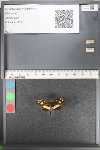 Media type: image;   Entomology 101040
